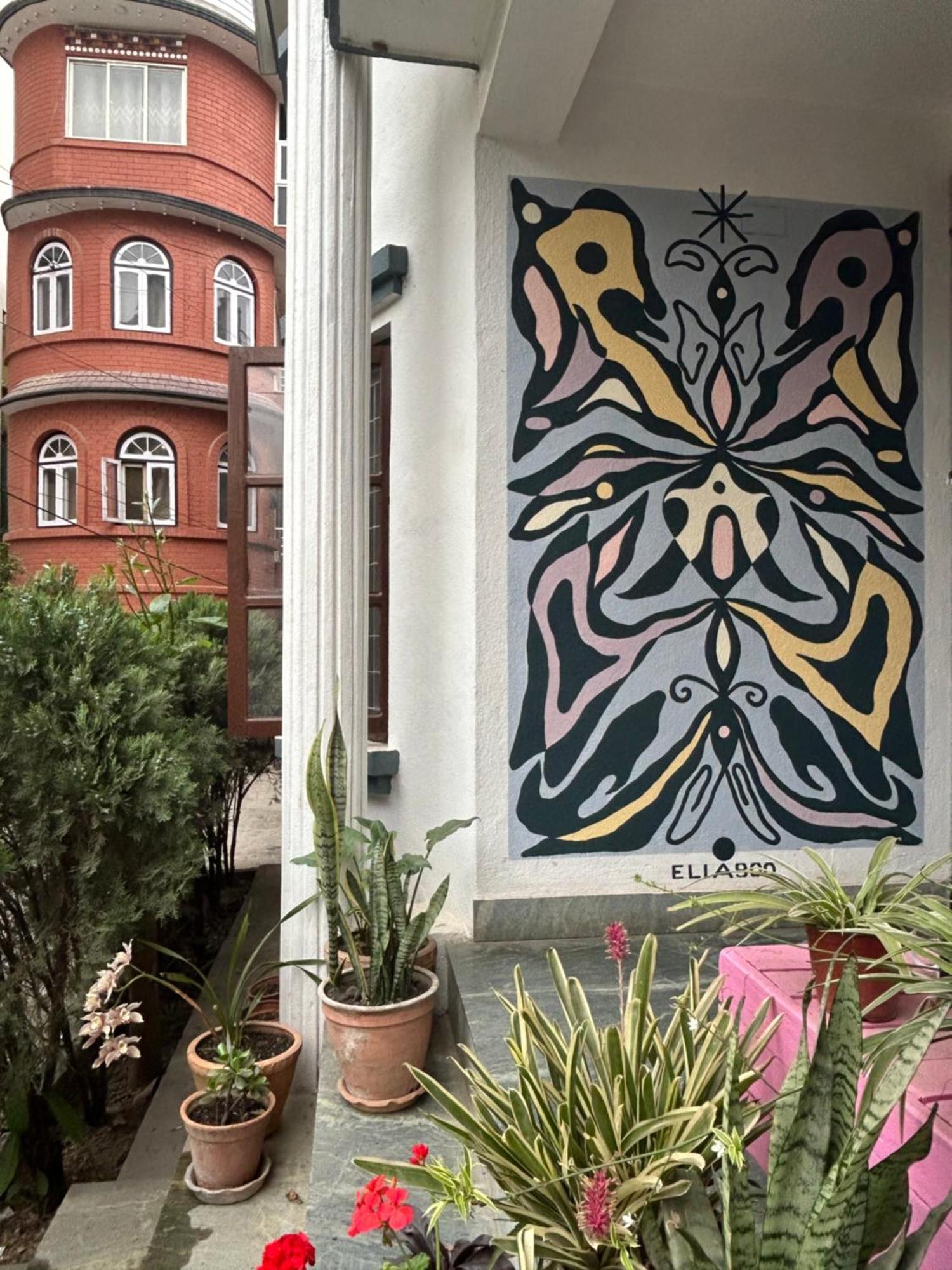 Drakon Nest * Kathmandu