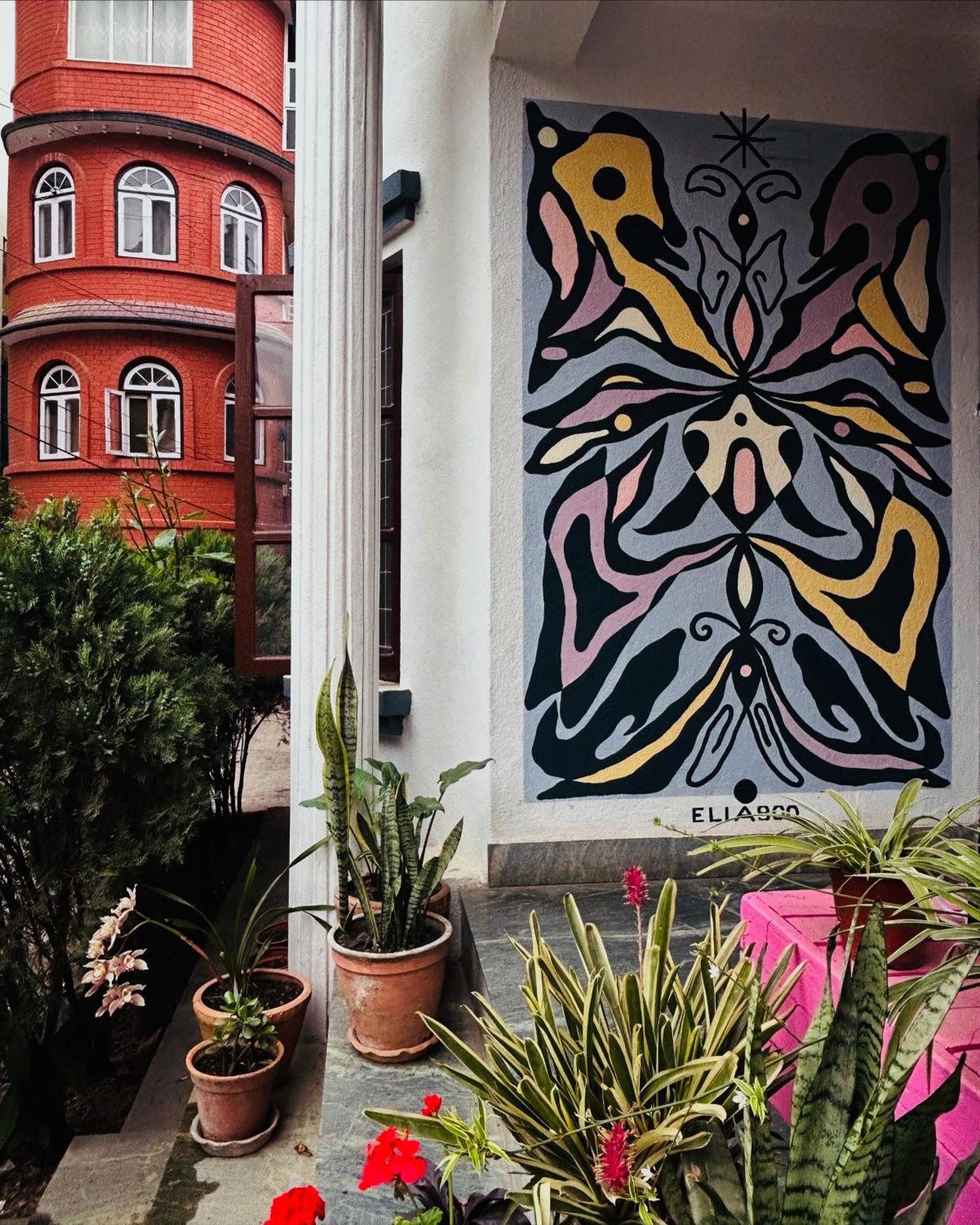 Drakon Nest Homestay Kathmandu